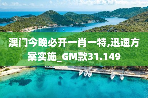 澳門今晚必開一肖一特,迅速方案實施_GM款31.149