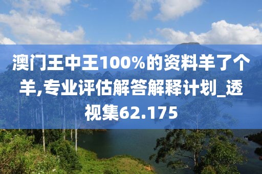 澳門王中王100%的資料羊了個羊,專業(yè)評估解答解釋計劃_透視集62.175