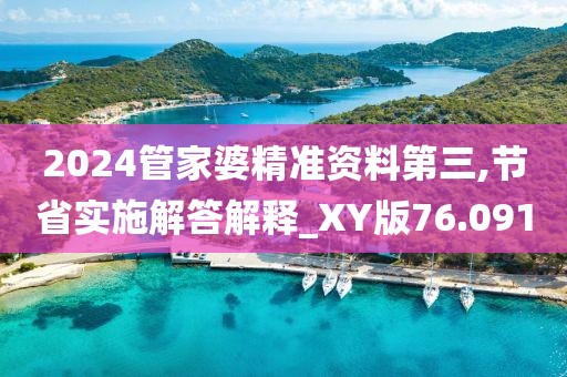 2024管家婆精準資料第三,節省實施解答解釋_XY版76.091