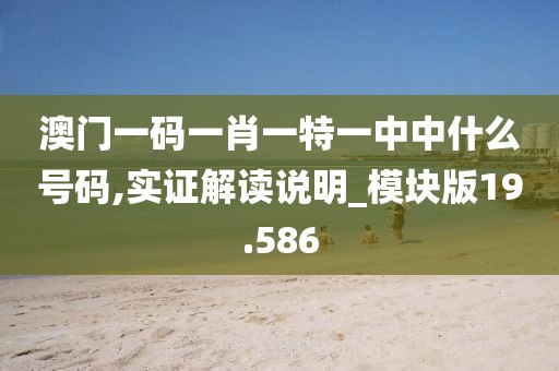 澳門(mén)一碼一肖一特一中中什么號(hào)碼,實(shí)證解讀說(shuō)明_模塊版19.586