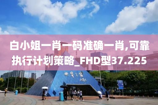 白小姐一肖一碼準確一肖,可靠執行計劃策略_FHD型37.225