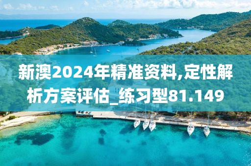 新澳2024年精準資料,定性解析方案評估_練習型81.149