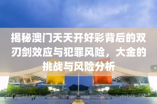 揭秘澳門天天開好彩背后的雙刃劍效應與犯罪風險，大金的挑戰與風險分析