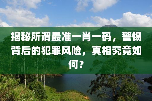揭秘所謂最準一肖一碼，警惕背后的犯罪風險，真相究竟如何？