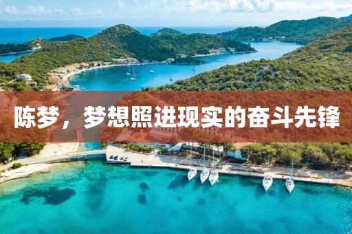 陳夢,夢想照進現實的奮斗先鋒