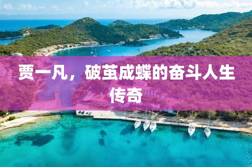 賈一凡，破繭成蝶的奮斗人生傳奇