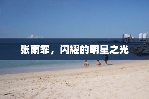 張雨霏，閃耀的明星之光