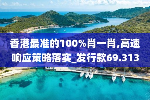 香港最準的100%肖一肖,高速響應策略落實_發行款69.313