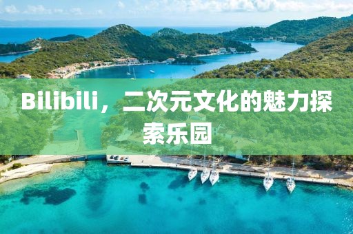 Bilibili,二次元文化的魅力探索樂園