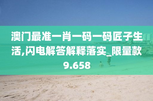 澳門最準一肖一碼一碼匠子生活,閃電解答解釋落實_限量款9.658