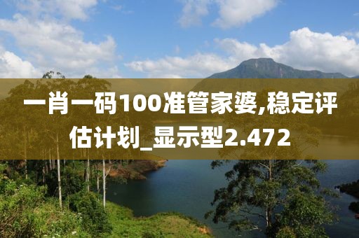 一肖一碼100準管家婆,穩定評估計劃_顯示型2.472