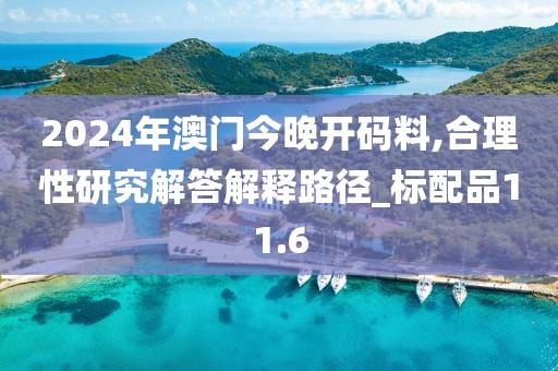 2024年澳門今晚開碼料,合理性研究解答解釋路徑_標配品11.6