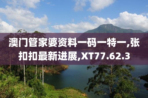澳門管家婆資料一碼一特一,張扣扣最新進展,XT77.62.3