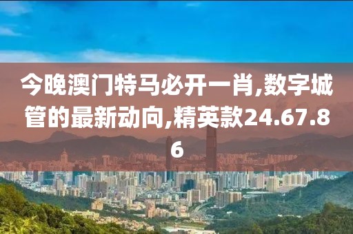 今晚澳門特馬必開一肖,數(shù)字城管的最新動向,精英款24.67.86