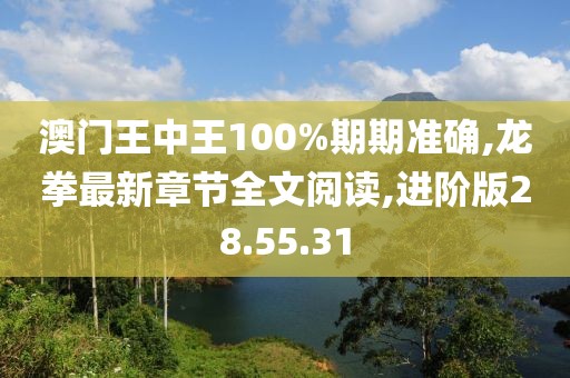 澳門王中王100%期期準確,龍拳最新章節全文閱讀,進階版28.55.31