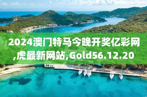 2024澳門特馬今晚開獎億彩網,虎最新網站,Gold56.12.20