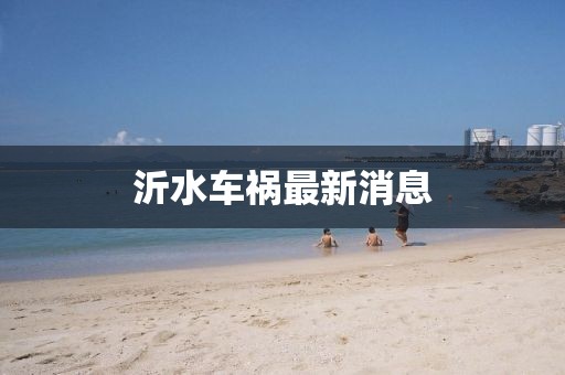 沂水車禍最新消息