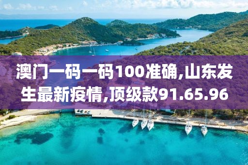 澳門一碼一碼100準確,山東發生最新疫情,頂級款91.65.96