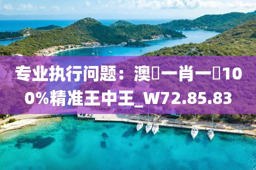 專業(yè)執(zhí)行問題：澳門一肖一碼100%精準(zhǔn)王中王_W72.85.83