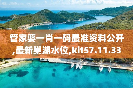 管家婆一肖一碼最準資料公開,最新巢湖水位,kit57.11.33