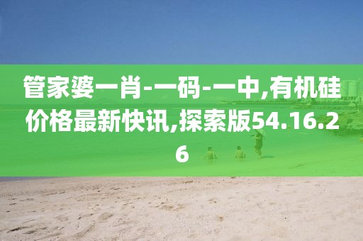 管家婆一肖-一碼-一中,有機硅價格最新快訊,探索版54.16.26