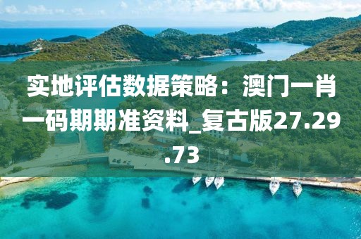 實地評估數據策略：澳門一肖一碼期期準資料_復古版27.29.73