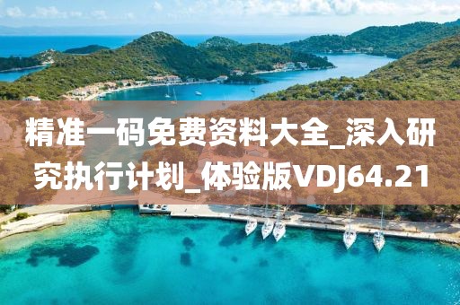 精準一碼免費資料大全_深入研究執行計劃_體驗版VDJ64.21