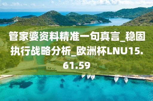 管家婆資料精準一句真言_穩固執行戰略分析_歐洲杯LNU15.61.59