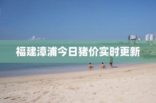 福建漳浦今日豬價實時更新