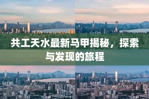 共工天水最新馬甲揭秘,探索與發現的旅程