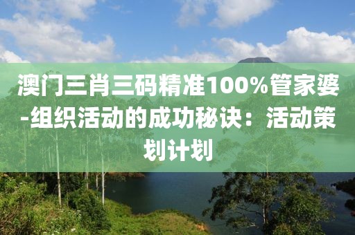 澳門三肖三碼精準100%管家婆-組織活動的成功秘訣:活動策劃計劃