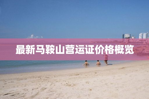 最新馬鞍山營(yíng)運(yùn)證價(jià)格概覽