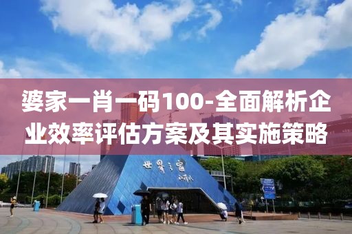婆家一肖一碼100-全面解析企業效率評估方案及其實施策略