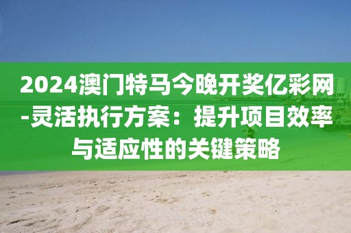 2024澳門特馬今晚開獎億彩網-靈活執行方案:提升項目效率與適應性的關鍵策略