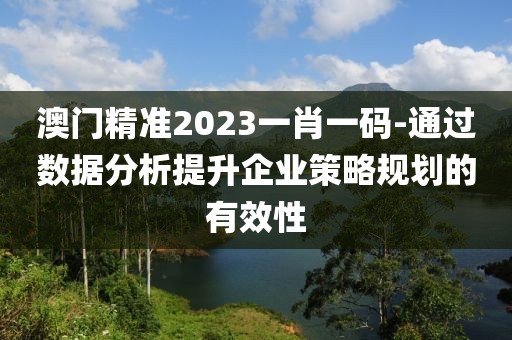 澳門精準2023一肖一碼-通過數據分析提升企業策略規劃的有效性