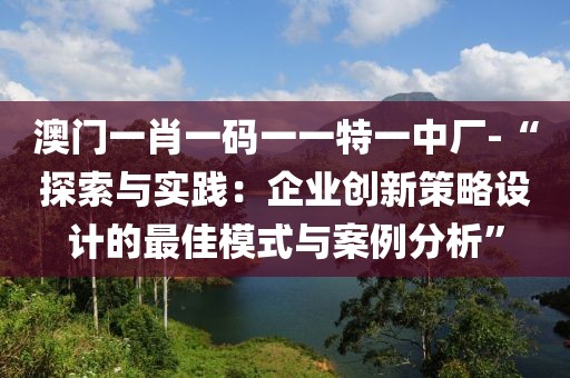 澳門一肖一碼一一特一中廠-“探索與實踐:企業創新策略設計的最佳模式與案例分析”