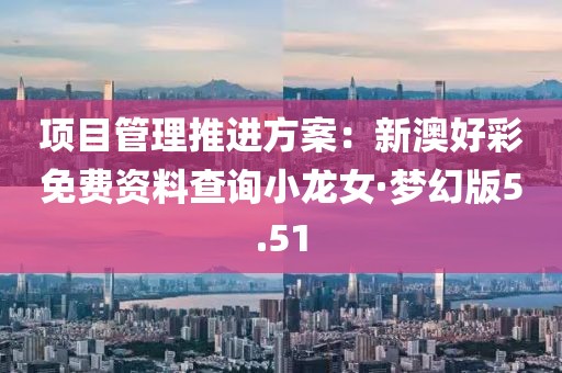 項目管理推進方案：新澳好彩免費資料查詢小龍女·夢幻版5.51