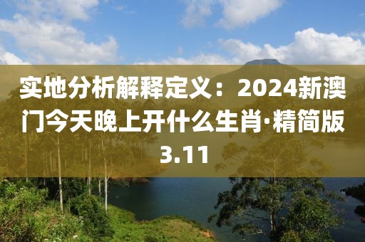 實地分析解釋定義：2024新澳門今天晚上開什么生肖·精簡版3.11