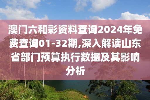 澳門六和彩資料查詢2024年免費查詢01-32期,深入解讀山東省部門預算執行數據及其影響分析