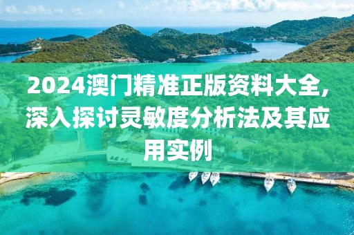 2024澳門精準正版資料大全,深入探討靈敏度分析法及其應用實例