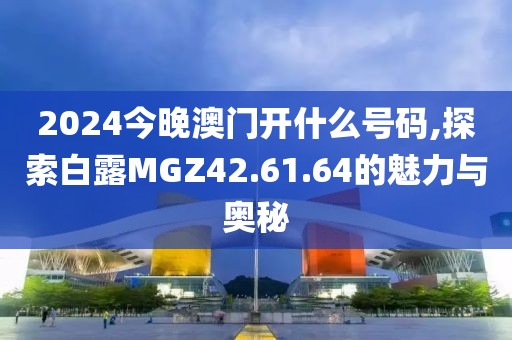 2024今晚澳門開什么號(hào)碼,探索白露MGZ42.61.64的魅力與奧秘