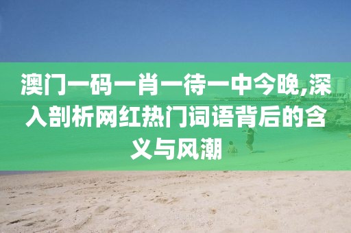 澳門一碼一肖一待一中今晚,深入剖析網紅熱門詞語背后的含義與風潮