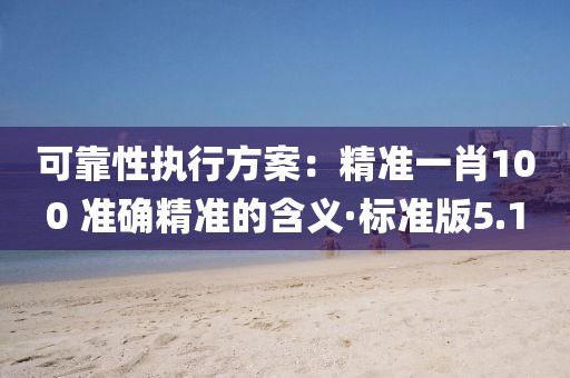 可靠性執行方案：精準一肖100?準確精準的含義·標準版5.1