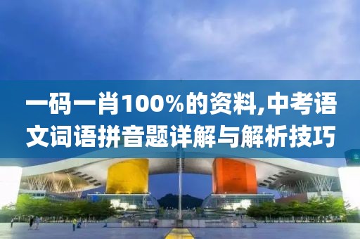 一碼一肖100%的資料,中考語文詞語拼音題詳解與解析技巧