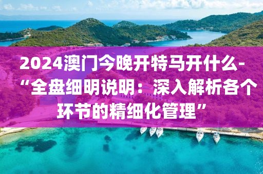 2024澳門今晚開特馬開什么-“全盤細明說明：深入解析各個環(huán)節(jié)的精細化管理”