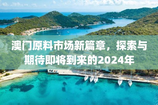 澳門原料市場新篇章，探索與期待即將到來的2024年