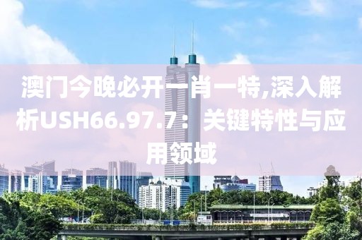澳門今晚必開一肖一特,深入解析USH66.97.7：關鍵特性與應用領域