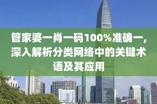 管家婆一肖一碼100%準確一,深入解析分類網絡中的關鍵術語及其應用