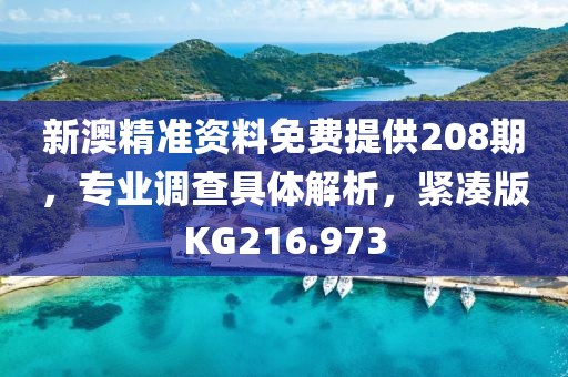 新澳精準資料免費提供208期,專業調查具體解析,緊湊版KG216.973