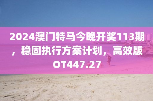 2024澳門特馬今晚開獎113期，穩固執行方案計劃，高效版OT447.27